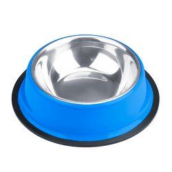 8oz. Blue Stainless Steel Dog Bowl