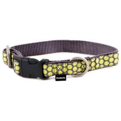 PetSafe Fido Finery Martingale Style Collar (3/4 Small, Dotted Bliss)
