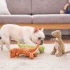 Pet Toys Dog Toys for Fun Squeaky for Puppy Toys Orange