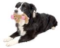 Pet Life Cozy Play Plush 2 Set Of Matching Squeaking Chew Dog Toys