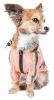 Dog Helios  'Torrential Shield' Waterproof Multi-Adjustable Pet Dog Windbreaker Raincoat